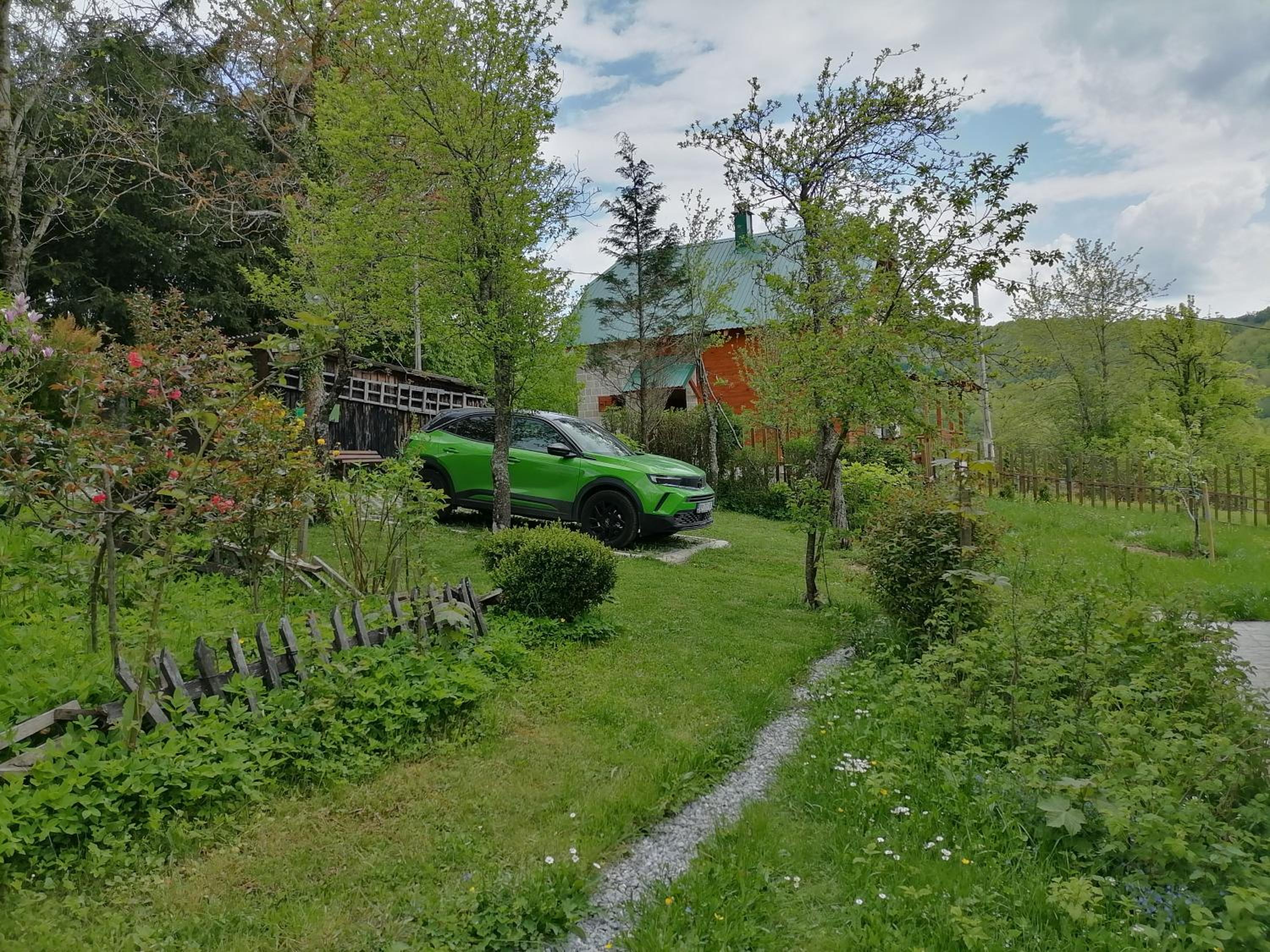 Photo 19