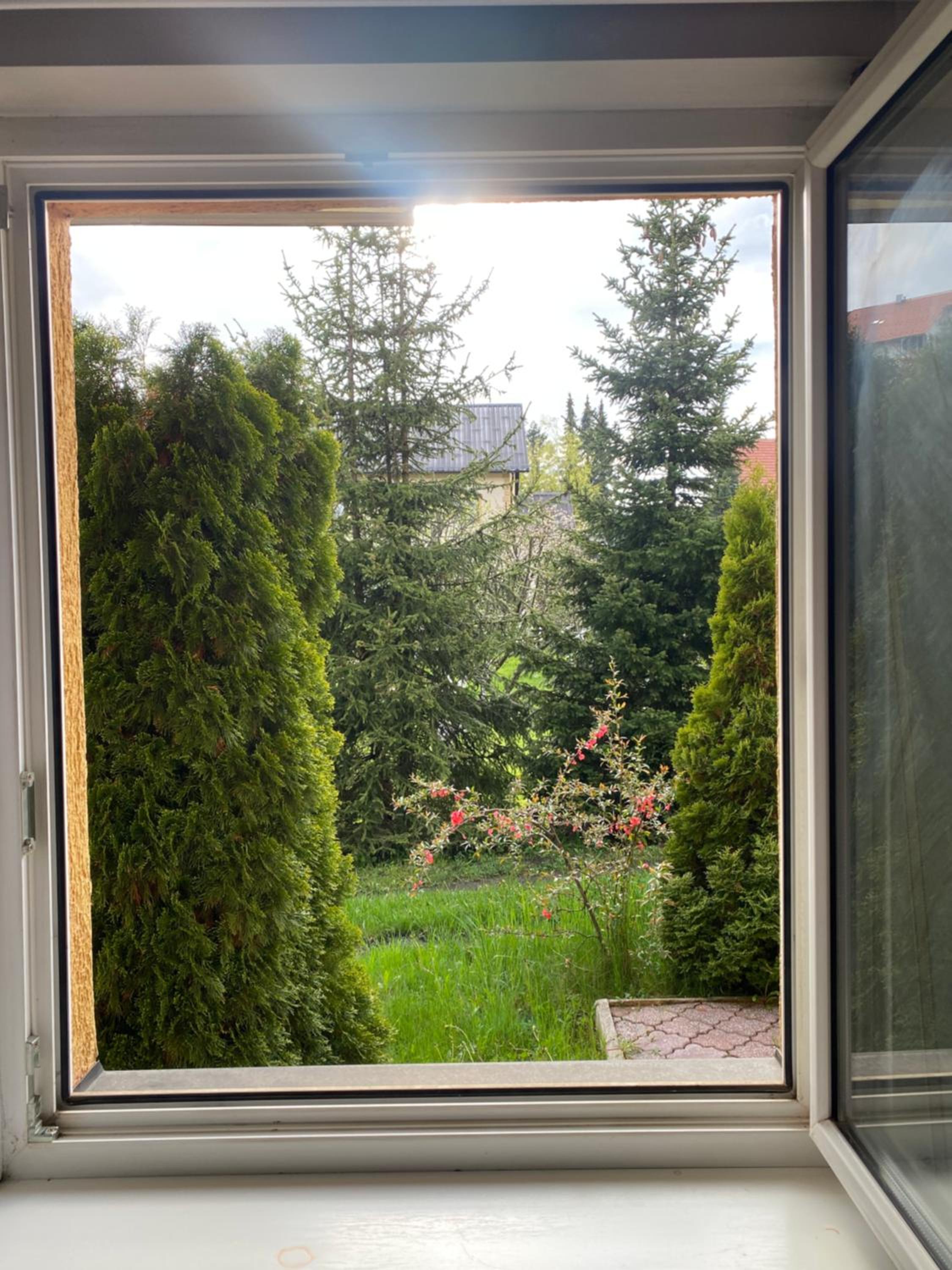 Pino Munika apartman