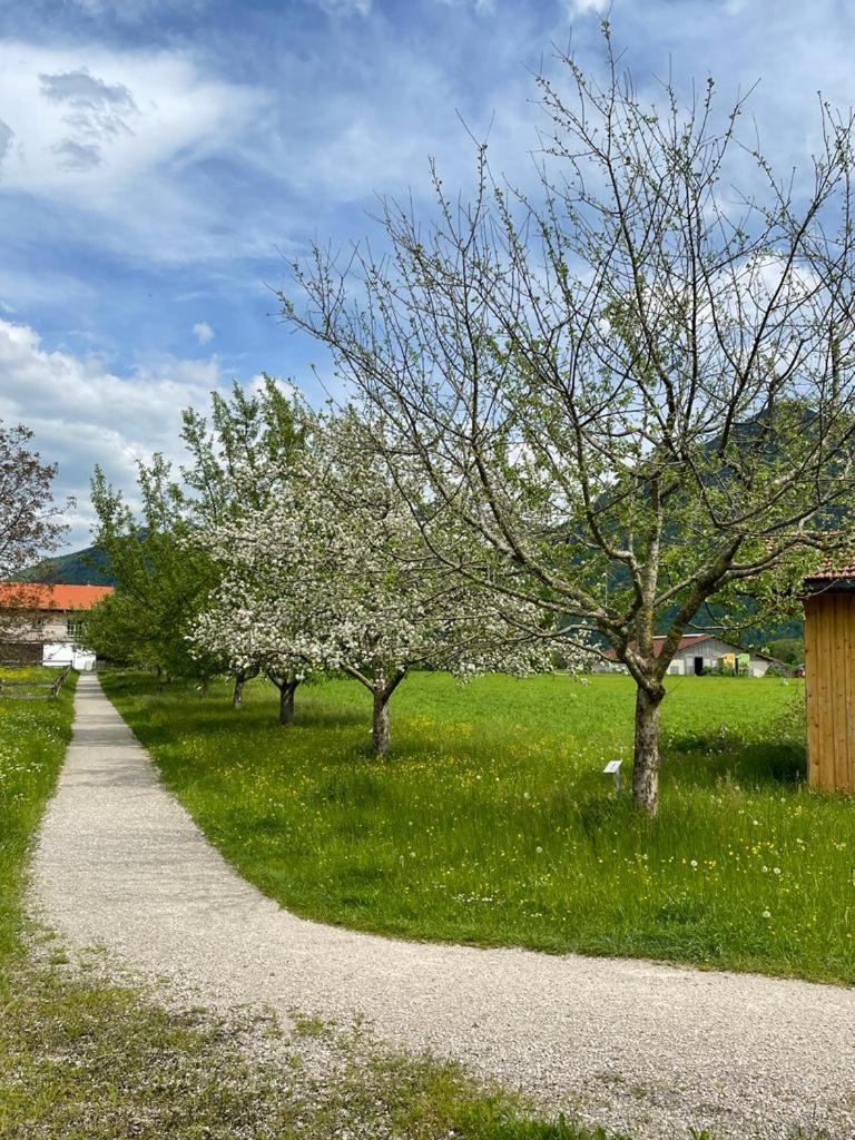 Ferienwohnung Klauserhof