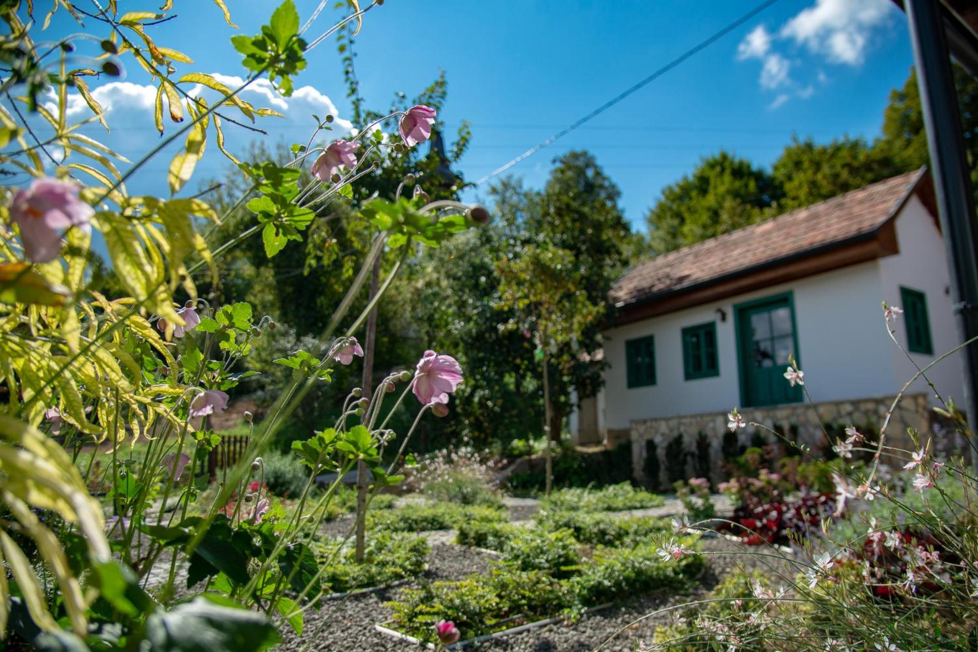 Alsópetényi Vendégházak