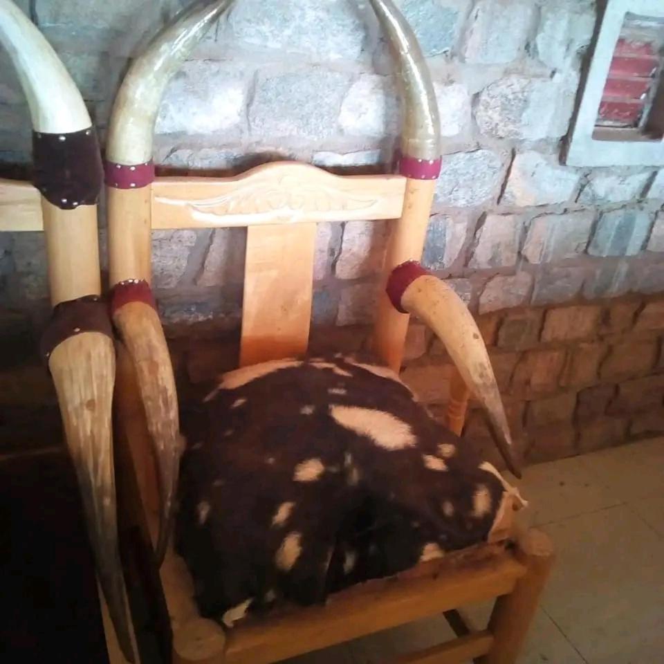 Katurum Kidepo lodge