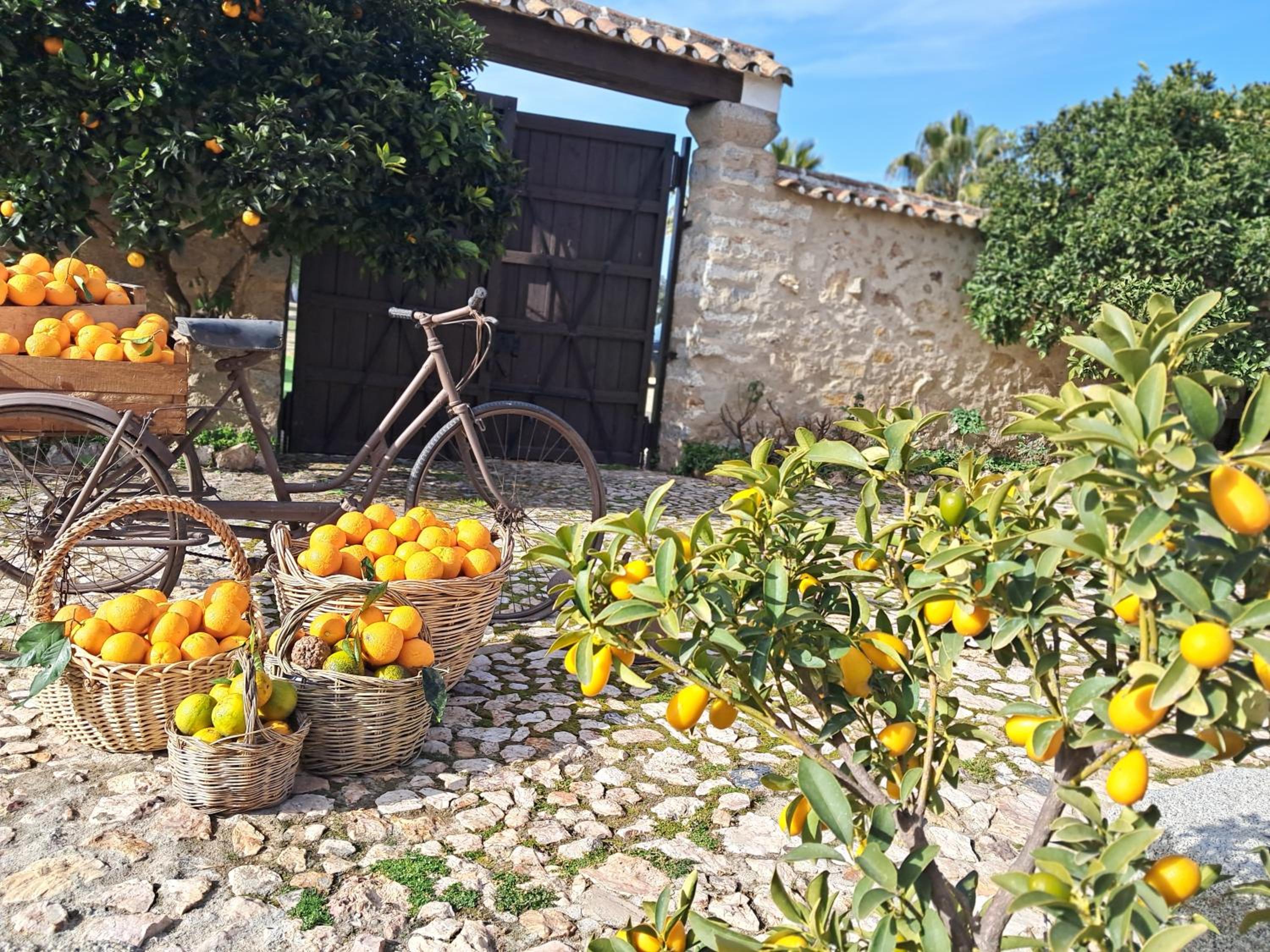 Casa Rural Ventorro de Sales