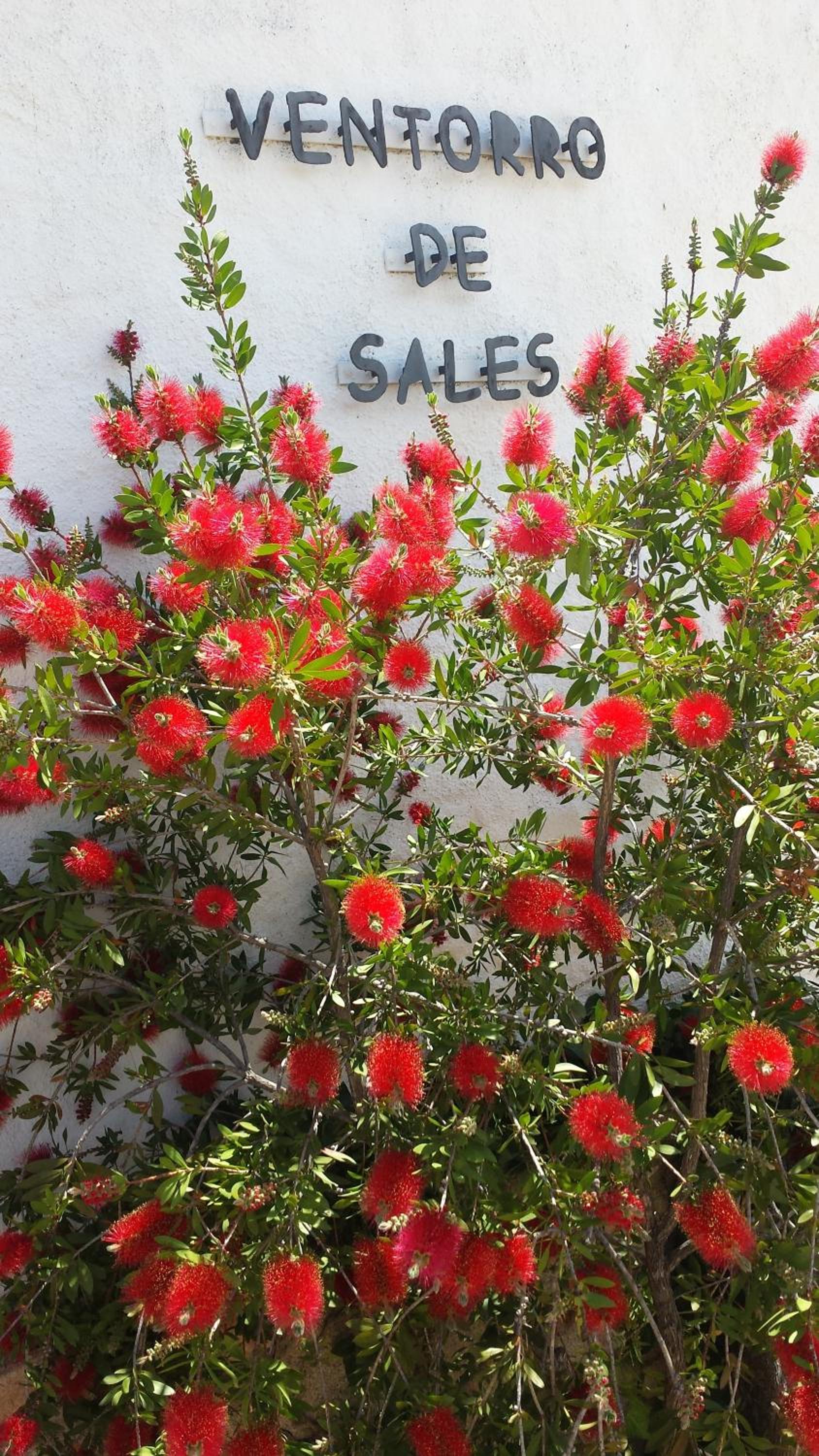 Casa Rural Ventorro de Sales