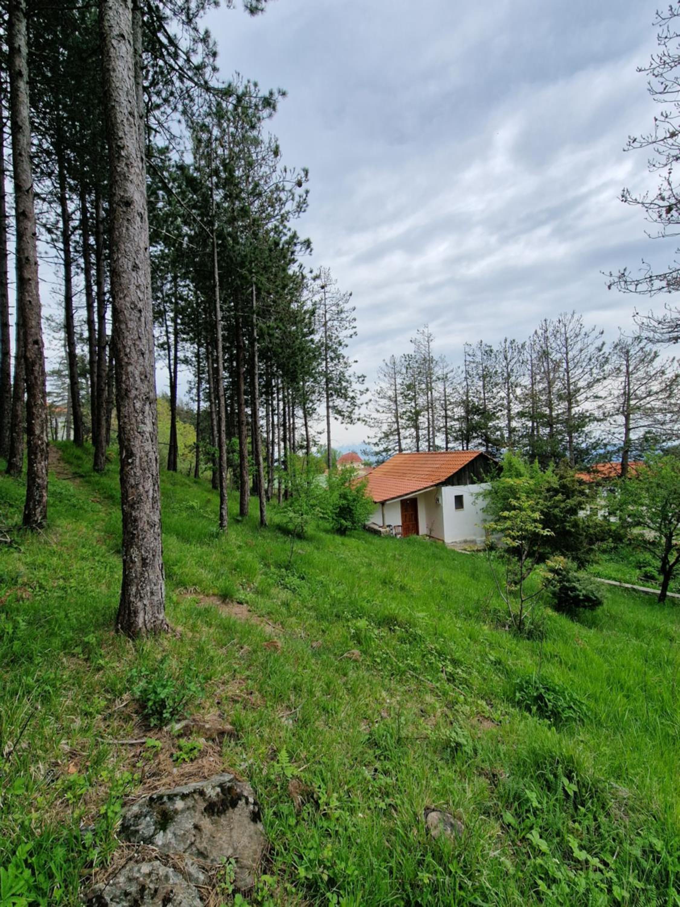 Bujtinat Skenderi Gjinar