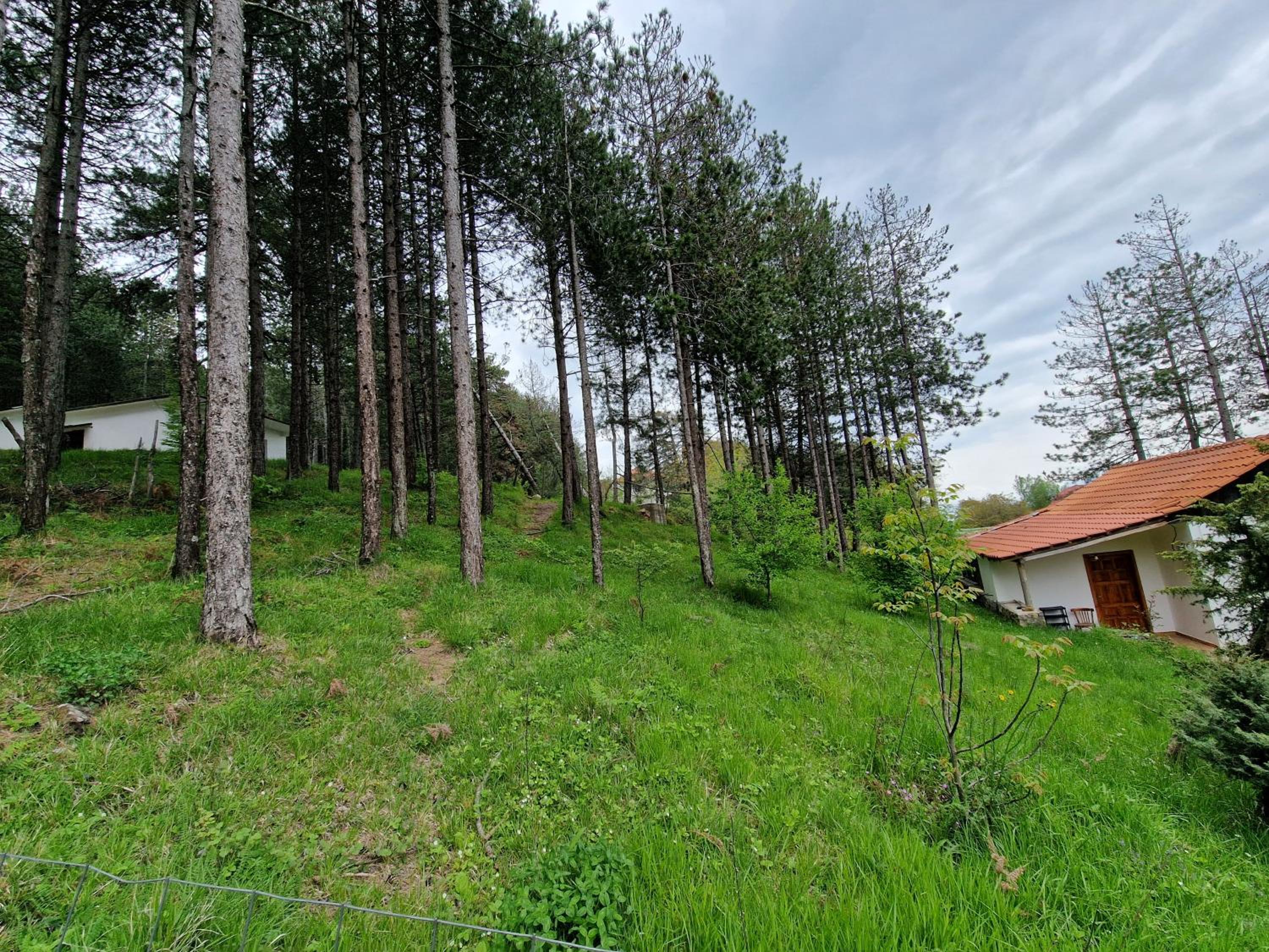 Bujtinat Skenderi Gjinar