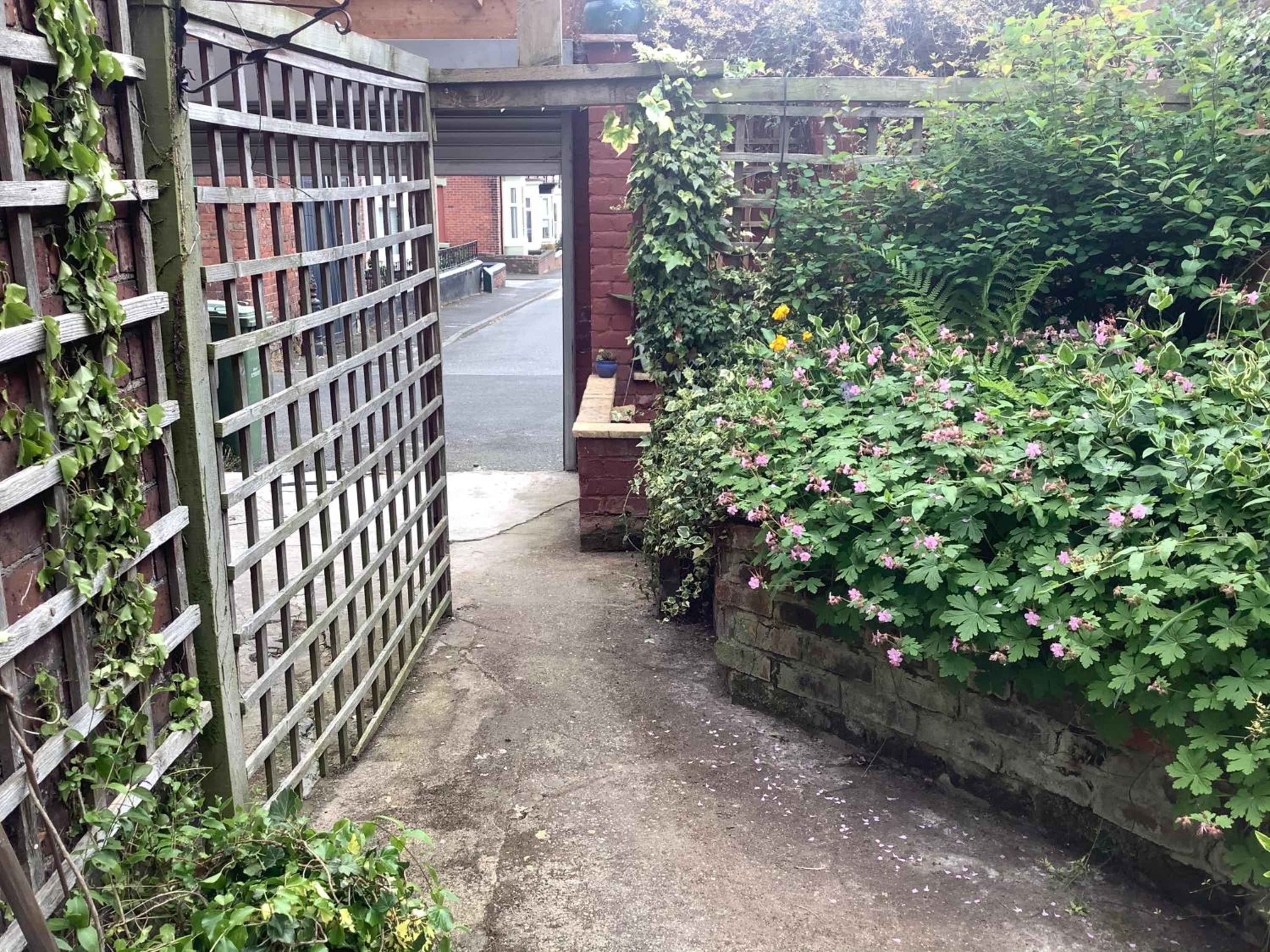 Photo 11