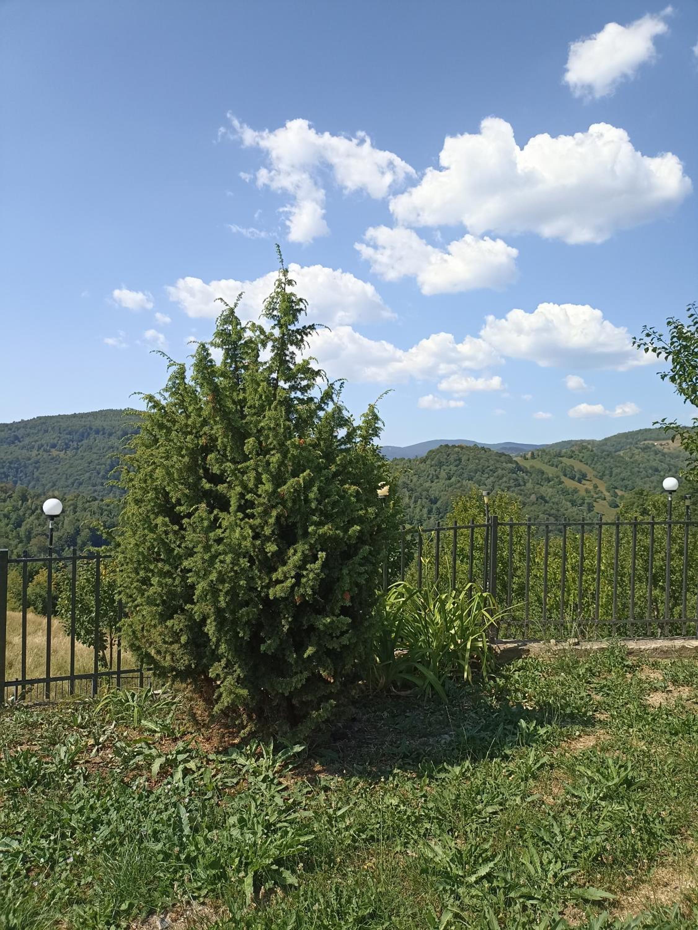 Cabana Refugiu Montan
