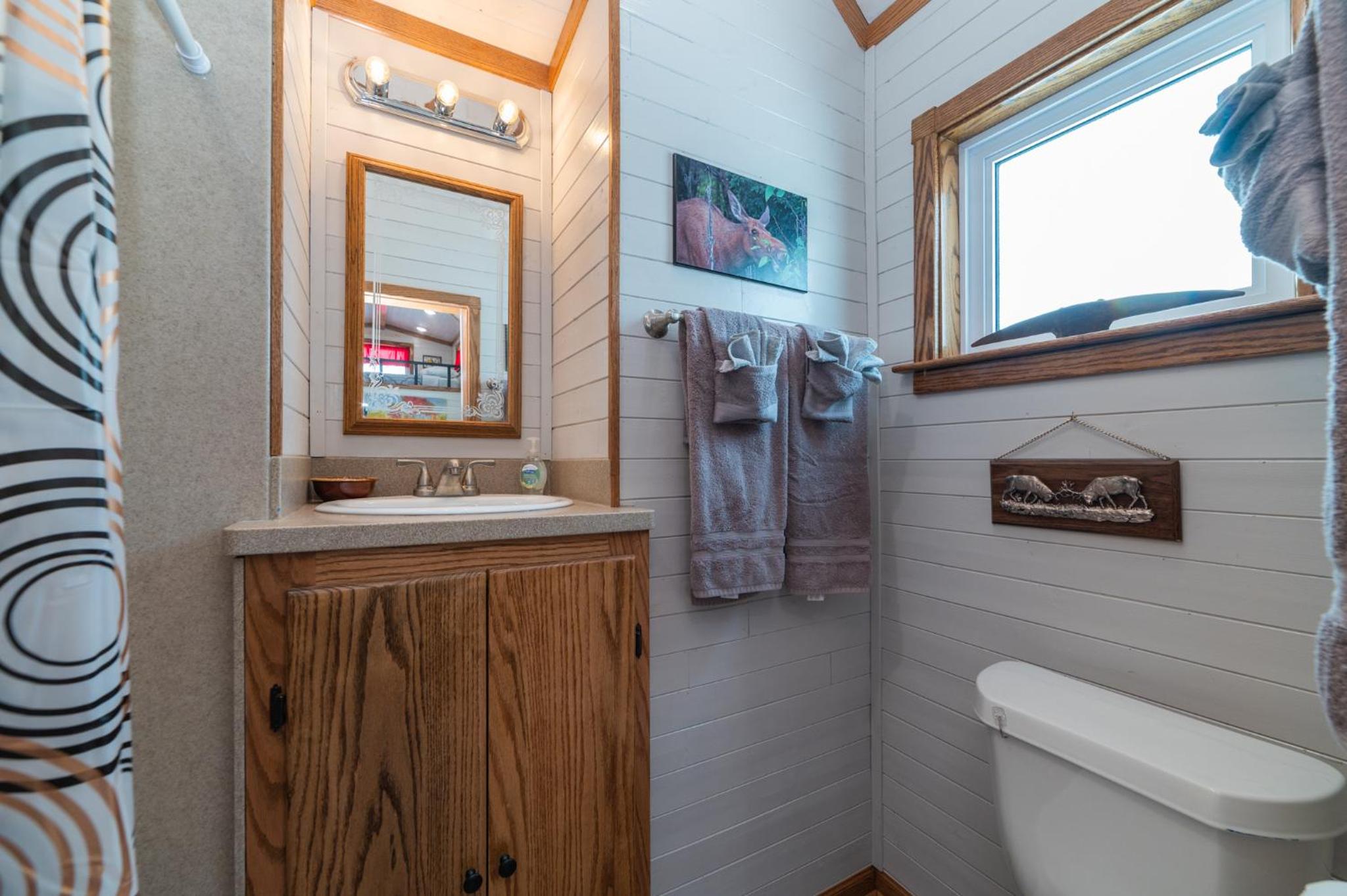 Tiny House Leadville Colorado
