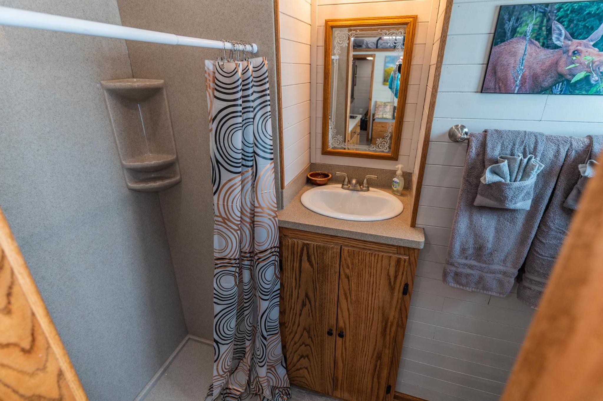 Tiny House Leadville Colorado