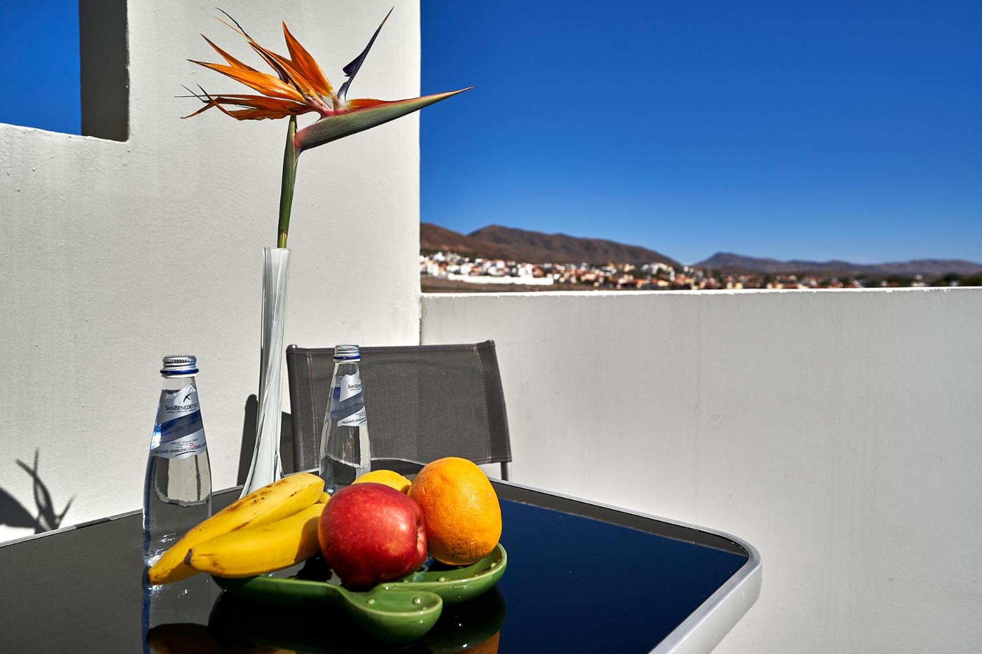 Casa de Cactus