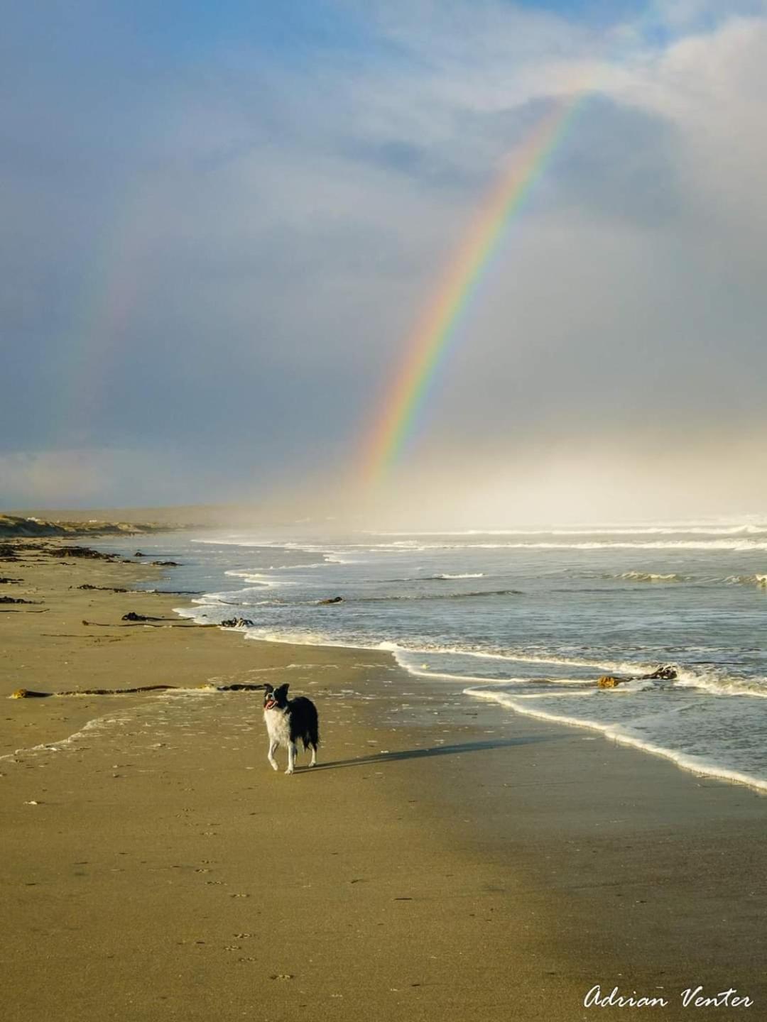 Photo 143