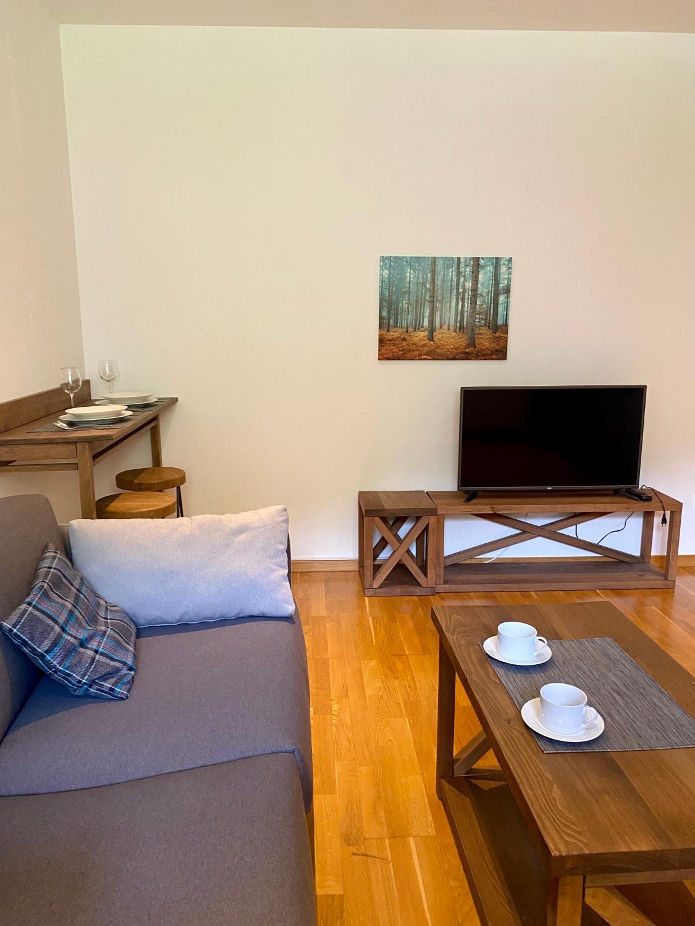 Apartman 20, Brzeće Centar view 4