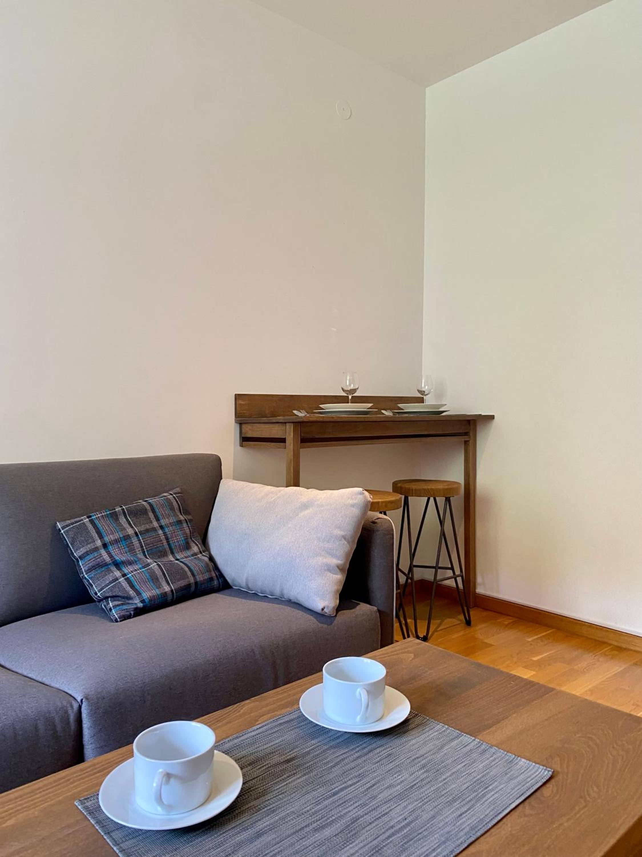 Apartman 20, Brzeće Centar view 5