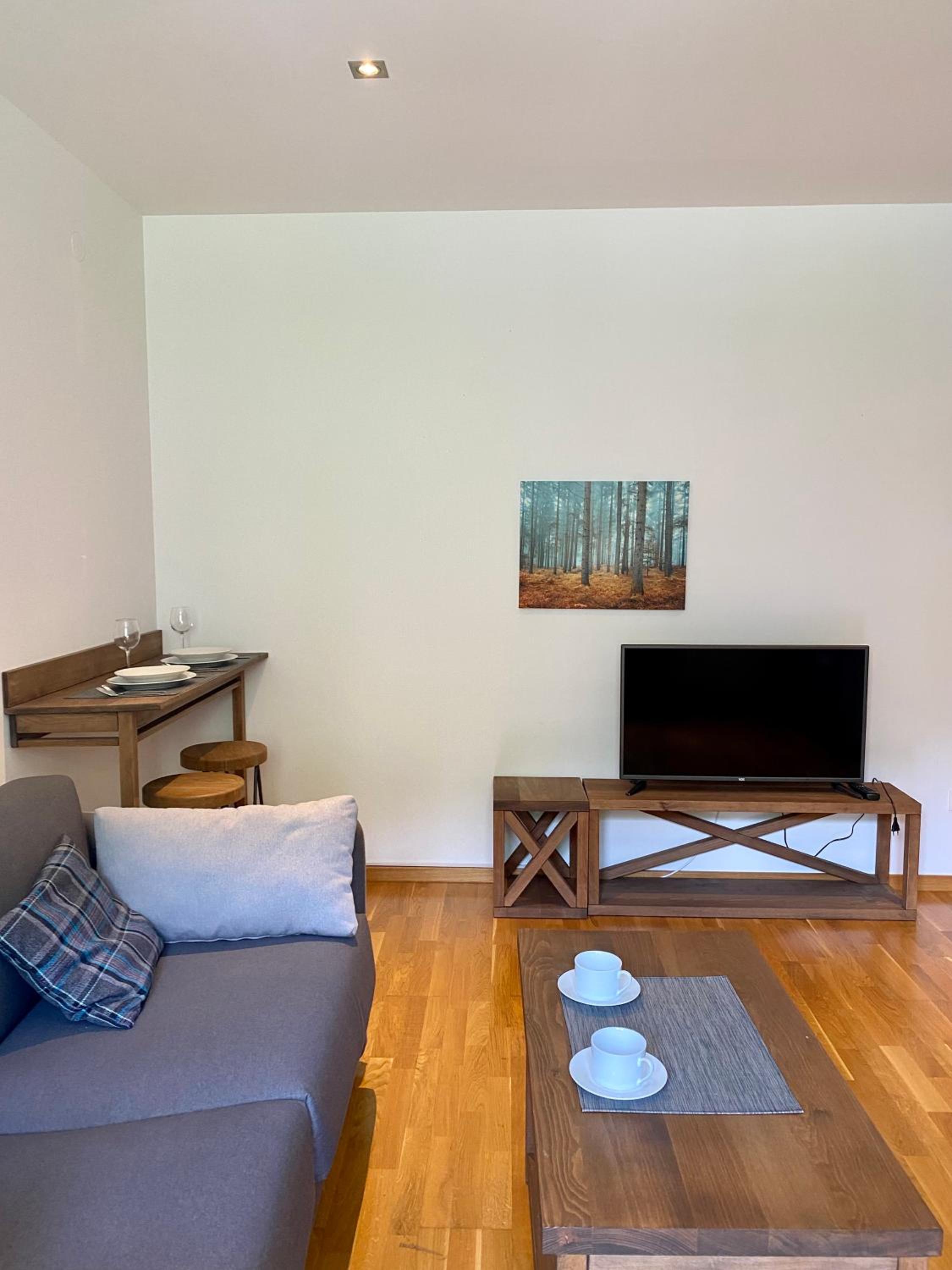 Apartman 20, Brzeće Centar view 3