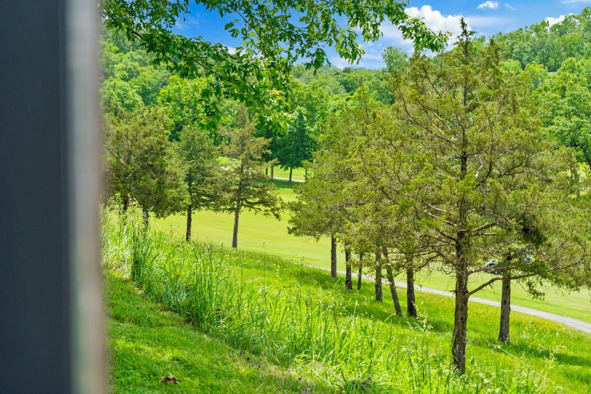 Fairway of Dreams view 4