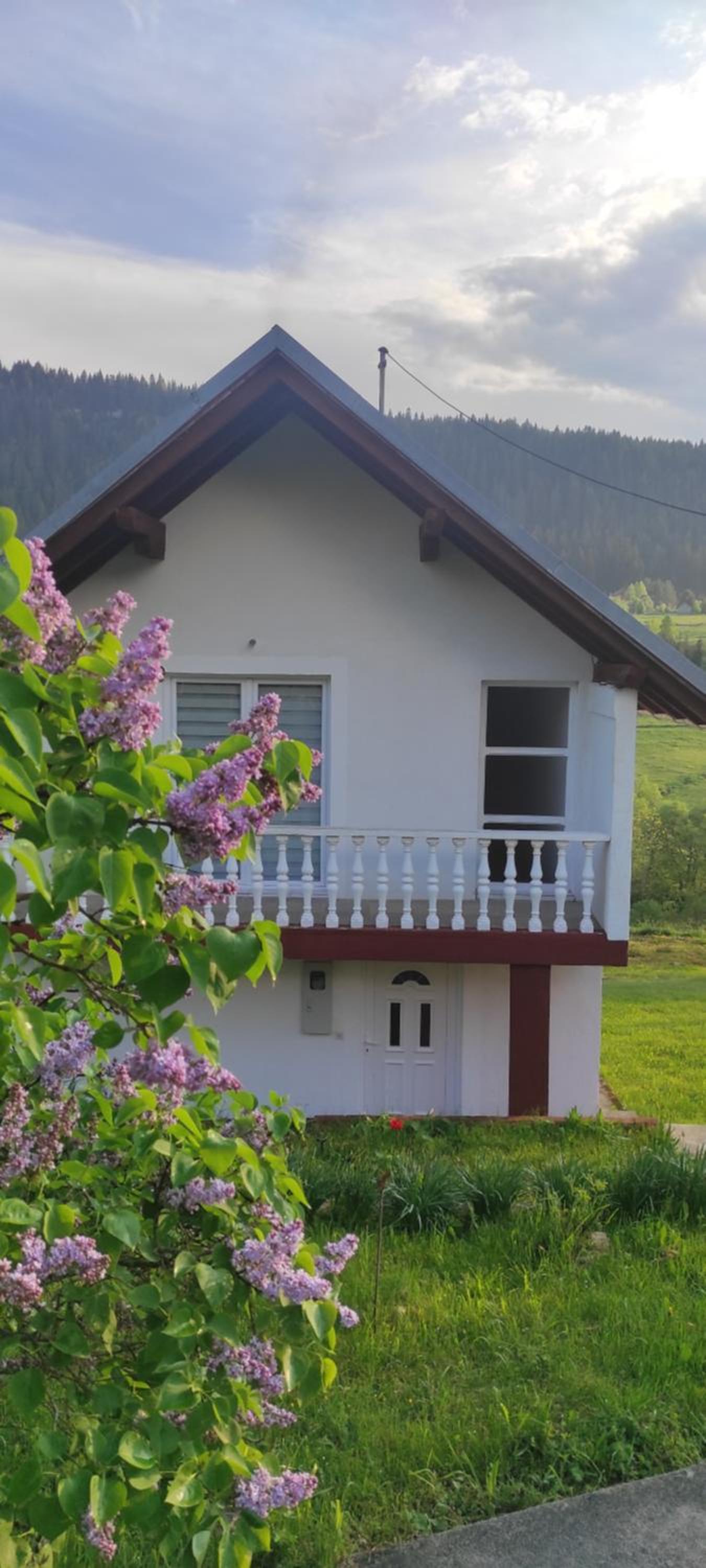 Vlasic holiday home