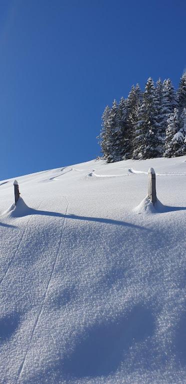Chalet le Grenier des Crosets, Vue exceptionnelle sur les Dents du Midi