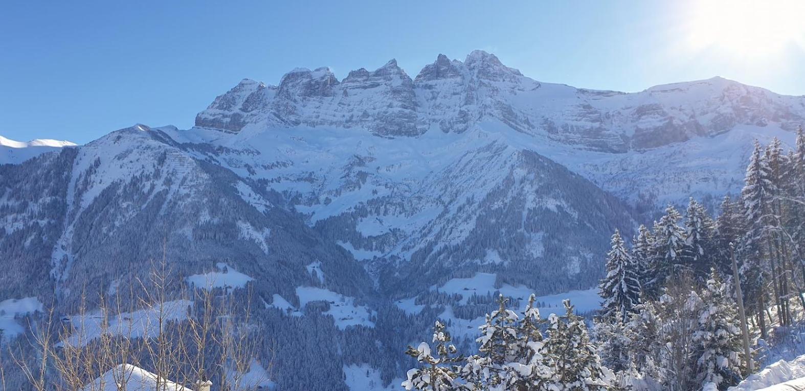 Chalet le Grenier des Crosets, Vue exceptionnelle sur les Dents du Midi