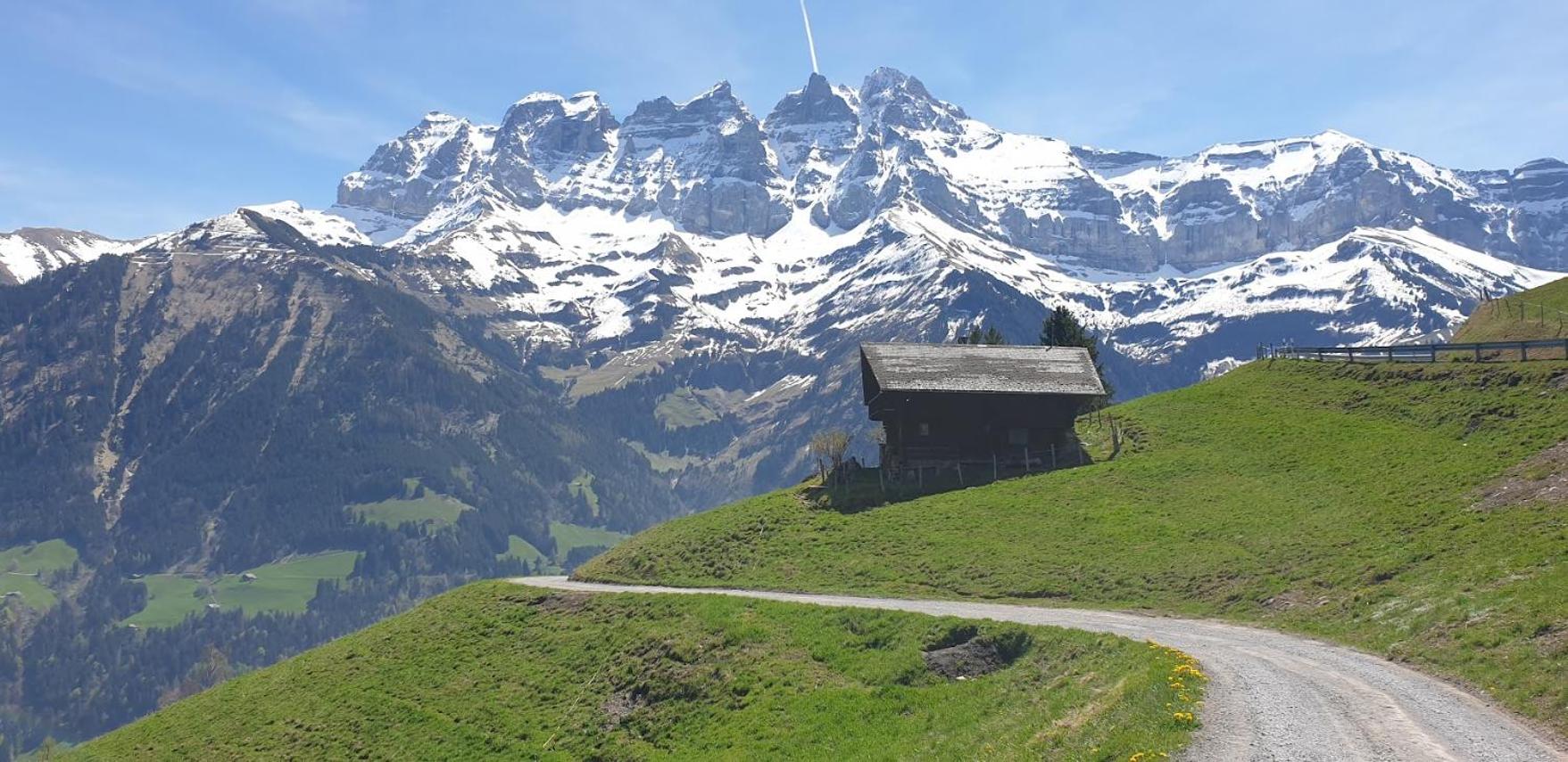 Chalet le Grenier des Crosets, Vue exceptionnelle sur les Dents du Midi