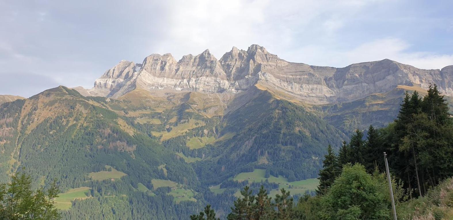 Chalet le Grenier des Crosets, Vue exceptionnelle sur les Dents du Midi