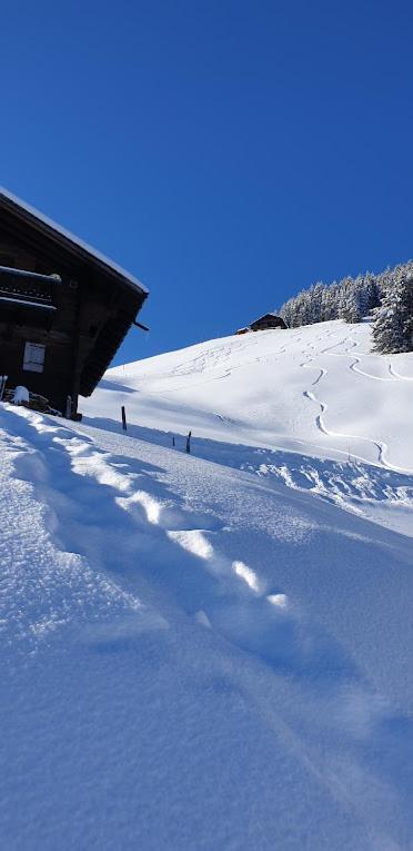 Chalet le Grenier des Crosets, Vue exceptionnelle sur les Dents du Midi