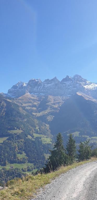 Chalet le Grenier des Crosets, Vue exceptionnelle sur les Dents du Midi