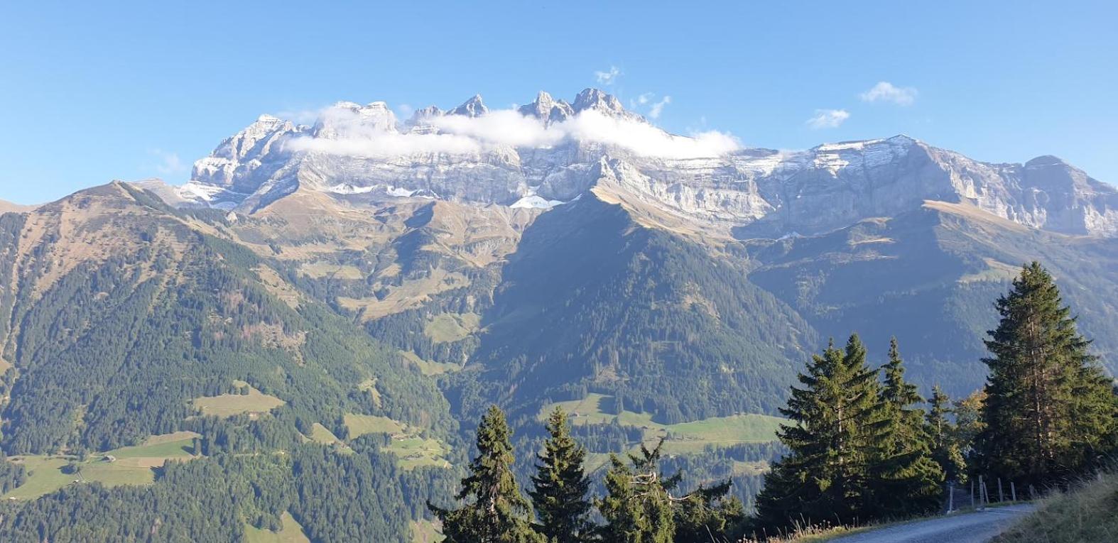 Chalet le Grenier des Crosets, Vue exceptionnelle sur les Dents du Midi