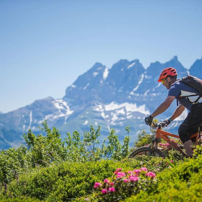 Chalet le Grenier des Crosets, Vue exceptionnelle sur les Dents du Midi