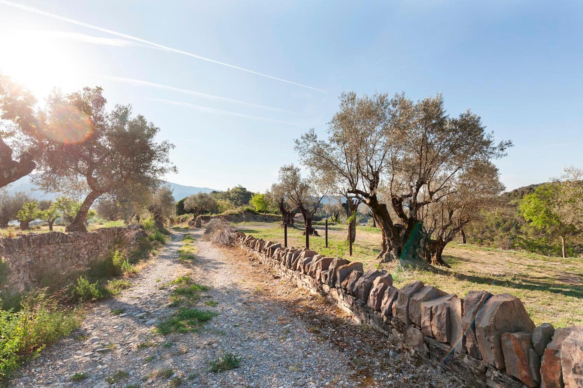 Casa Fumanal - Unique Property for up to 24
