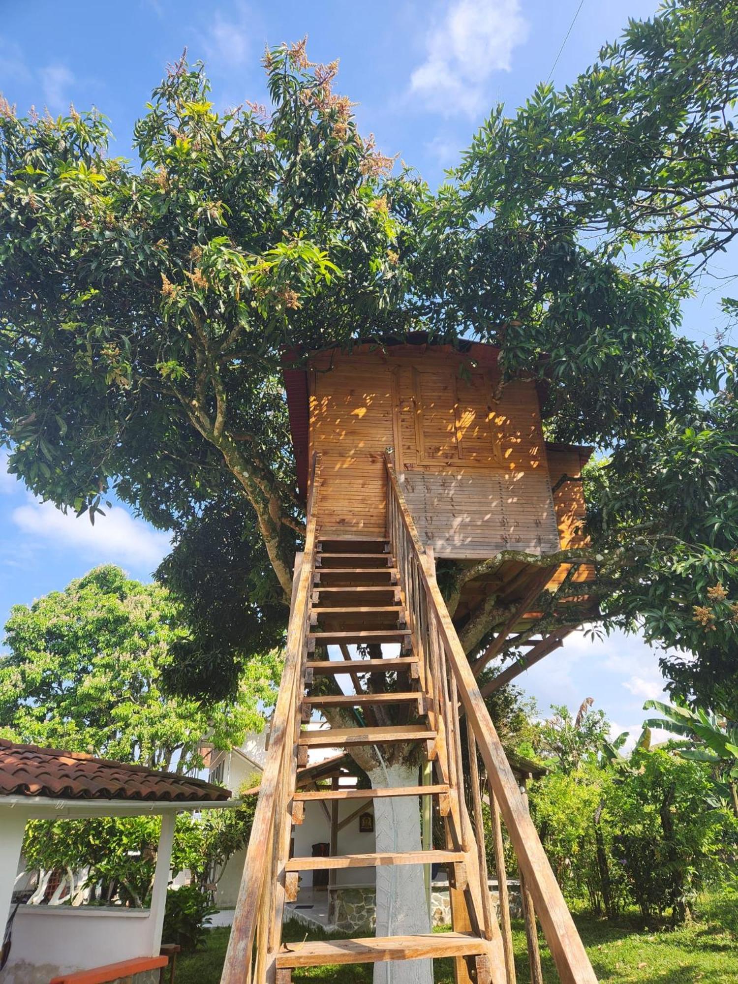 Villa Mimosa Finca Hotel