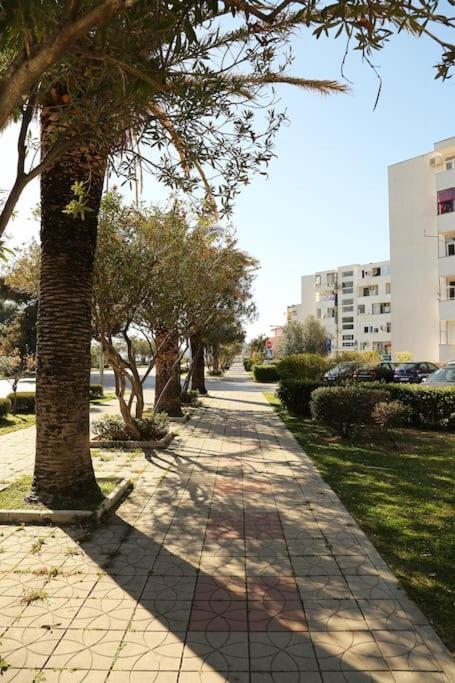 Apartment Filip