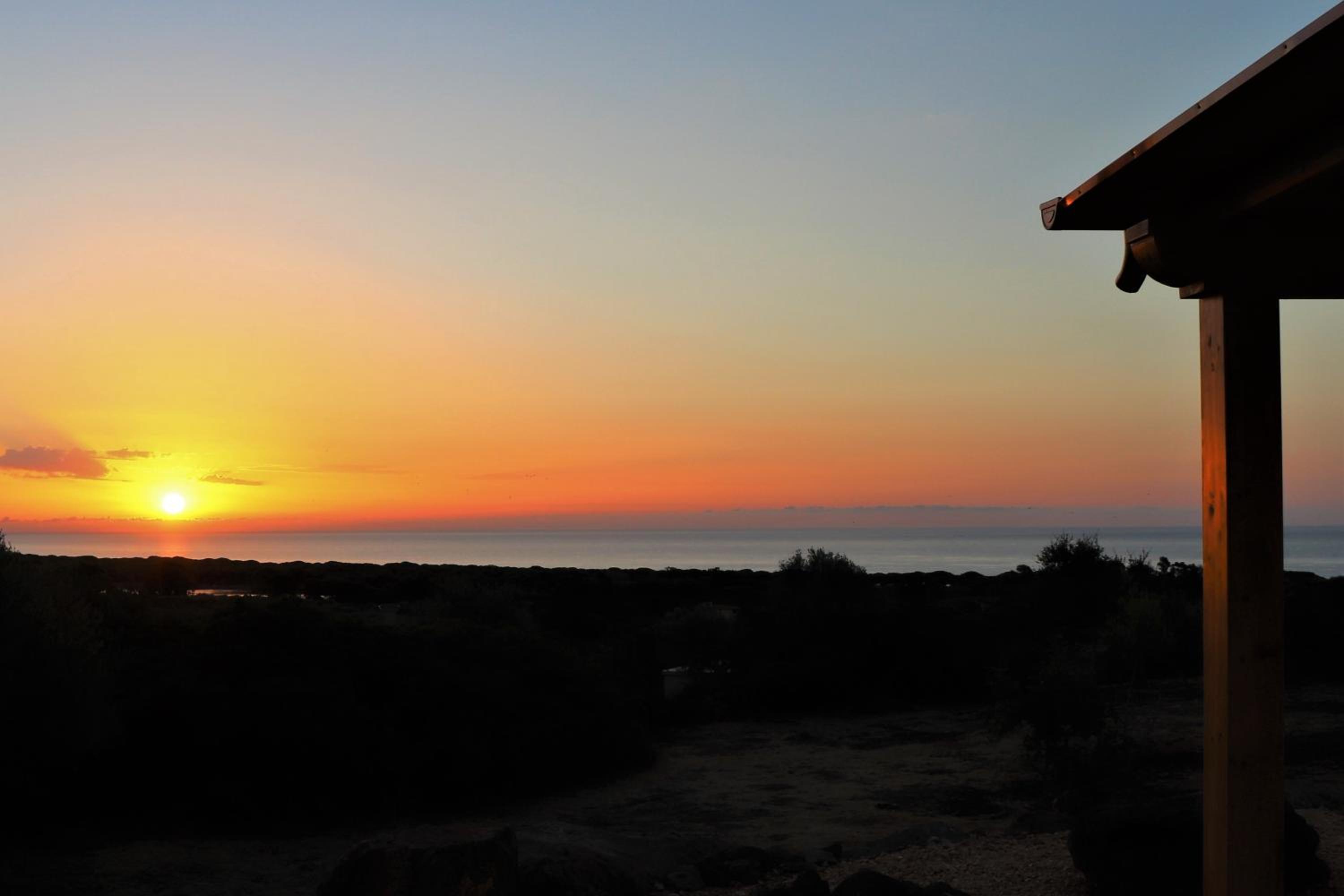 Country villa Sant' Elène - Appartamento Olivo view 4