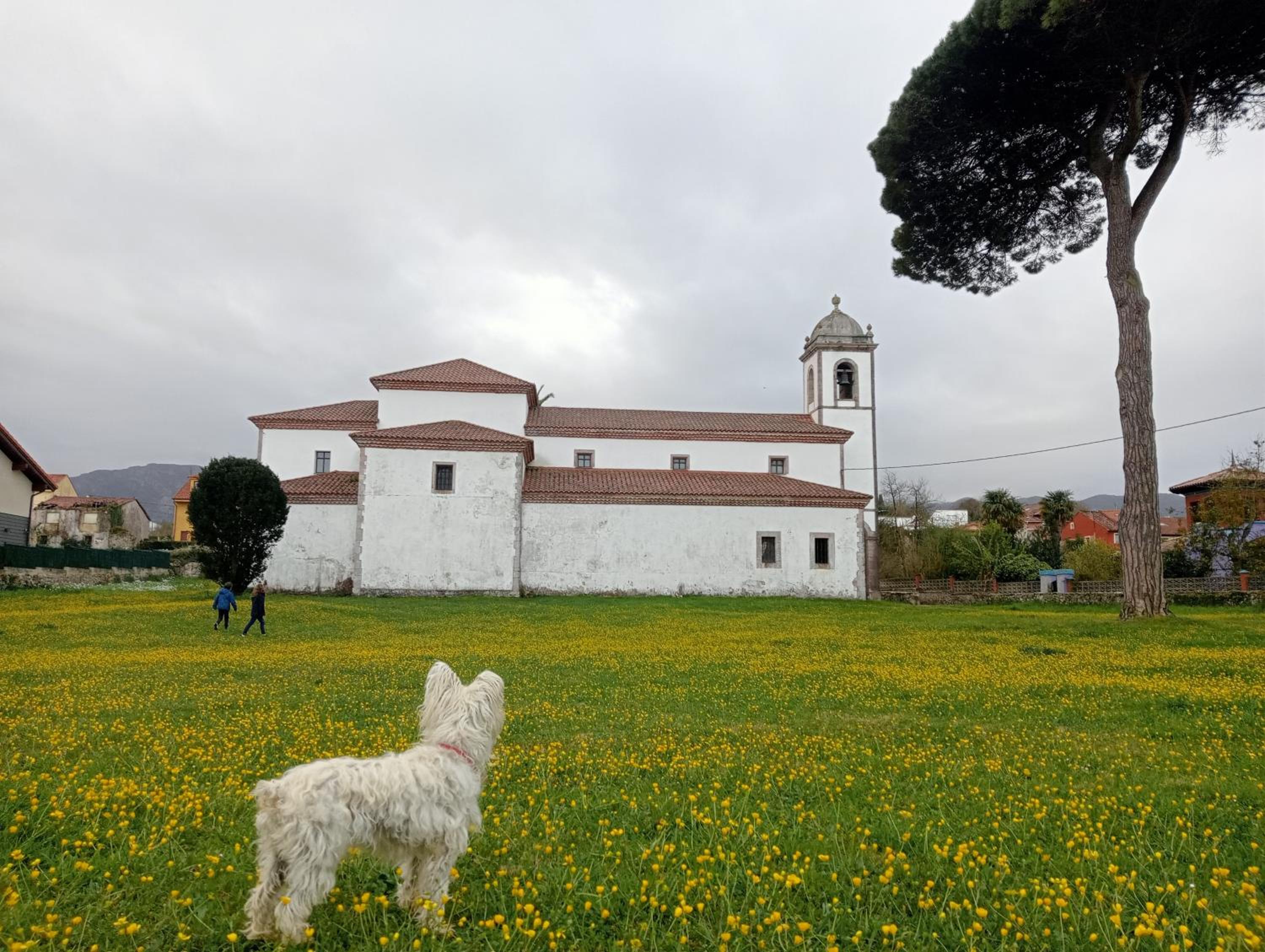 Photo 48