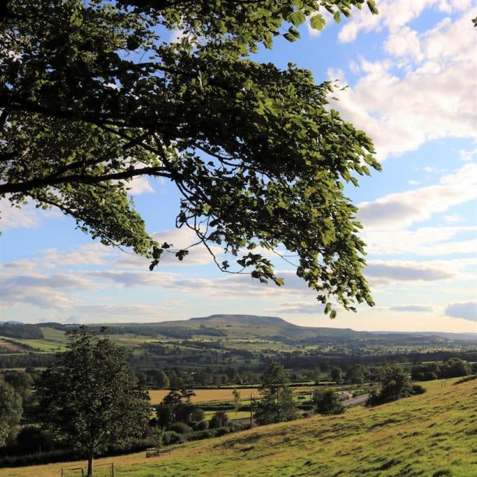 Wensleydale Halls