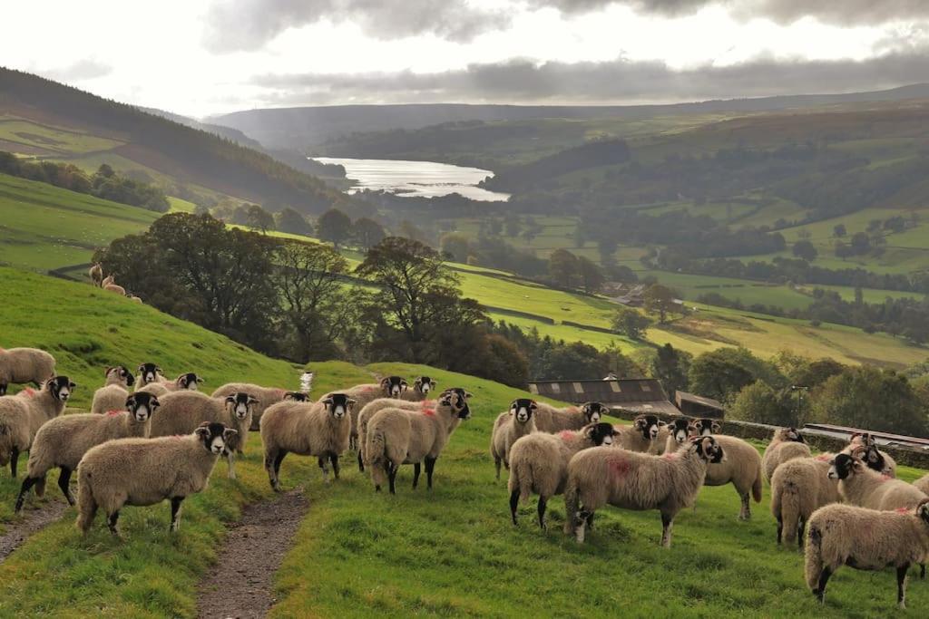 Wensleydale Halls