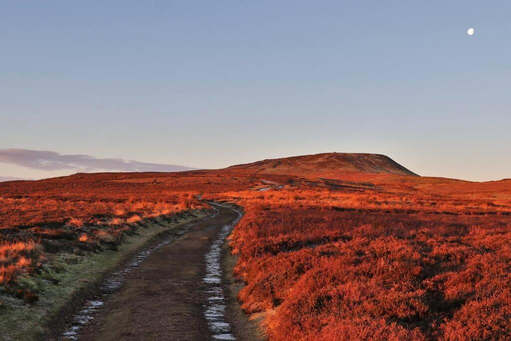 Wensleydale Halls