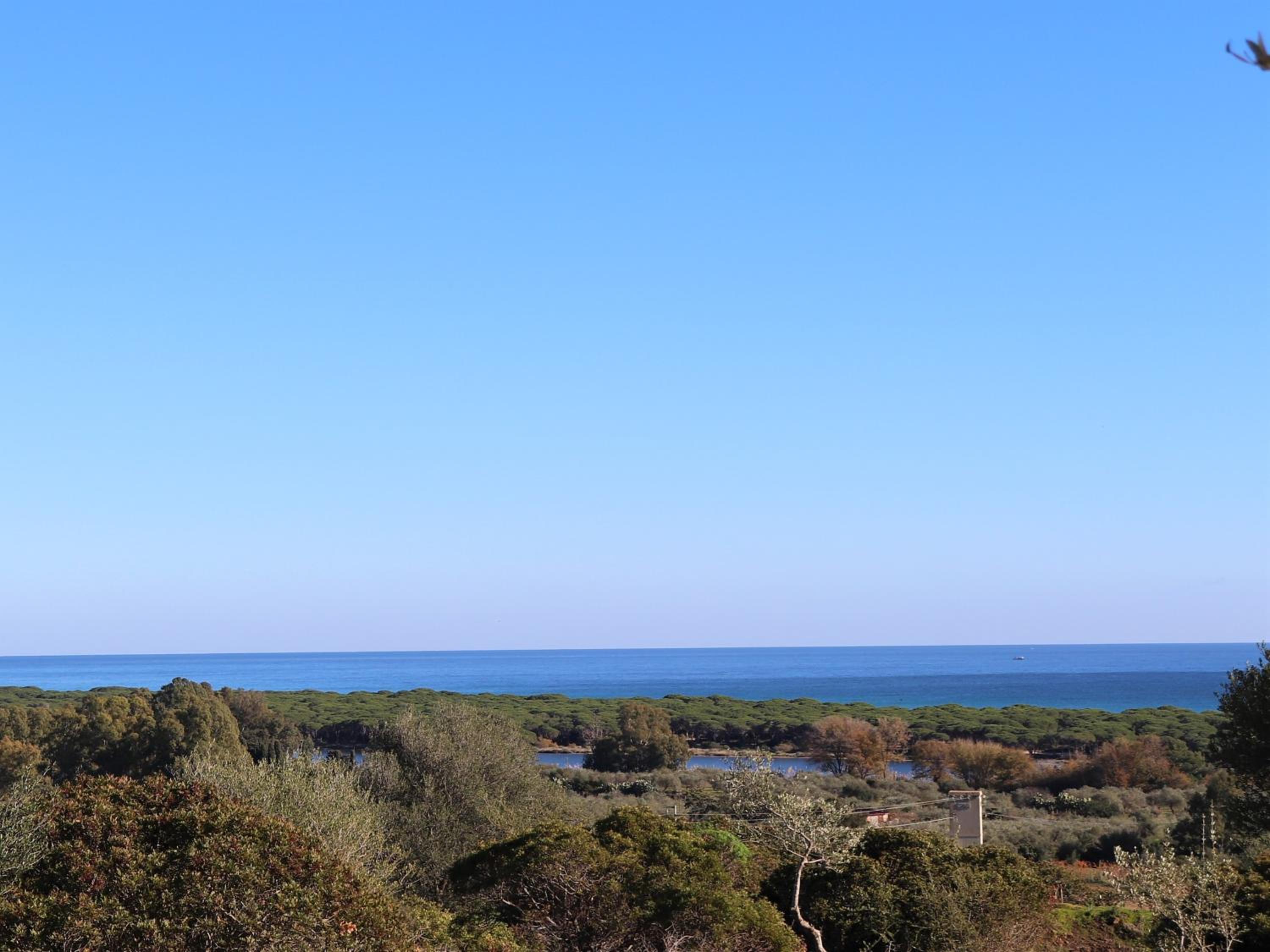 Country villa Sant' Elène - Appartamento Olivo view 3