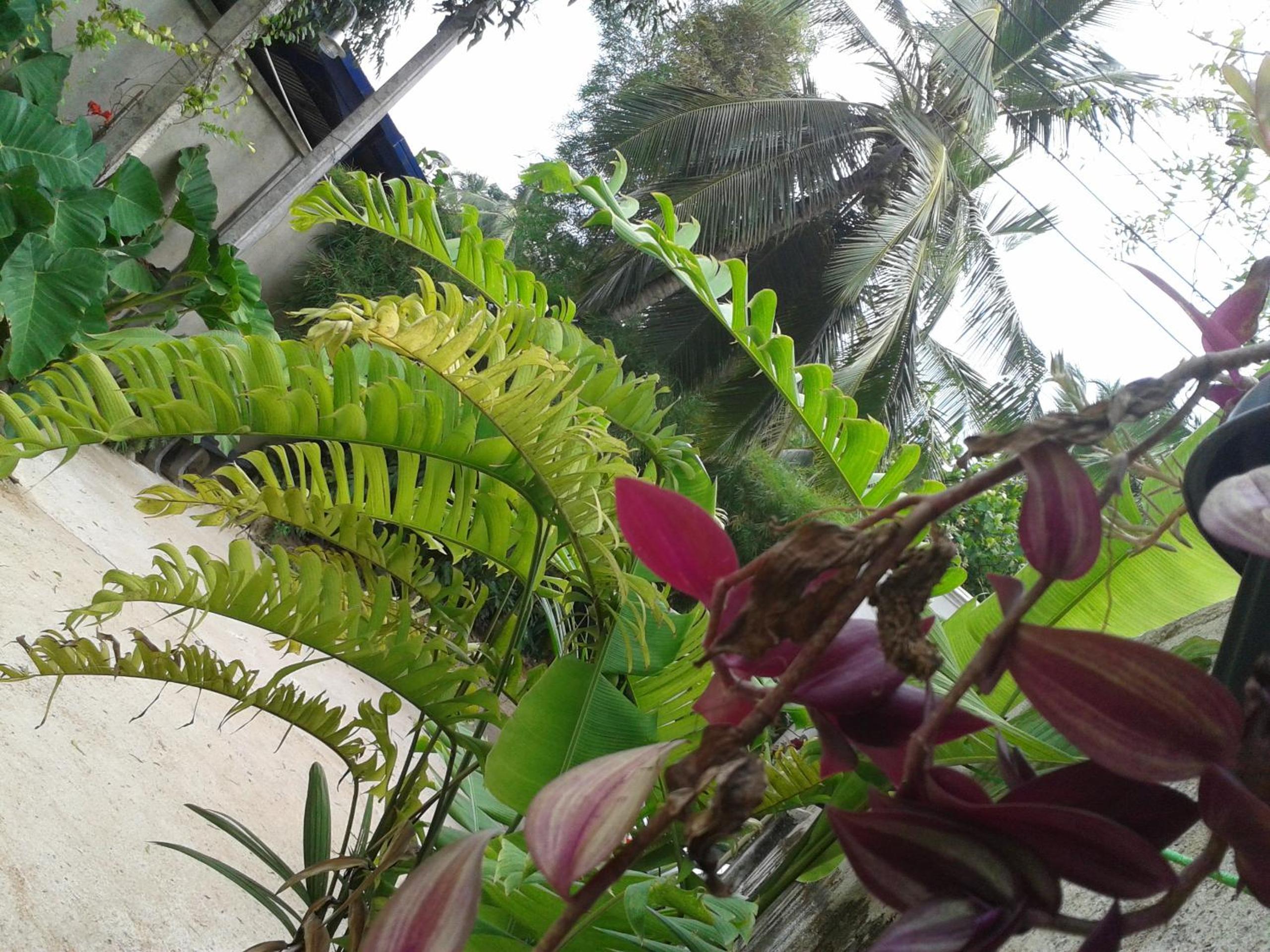Nooit Gedacht Holiday Resort Unawatuna