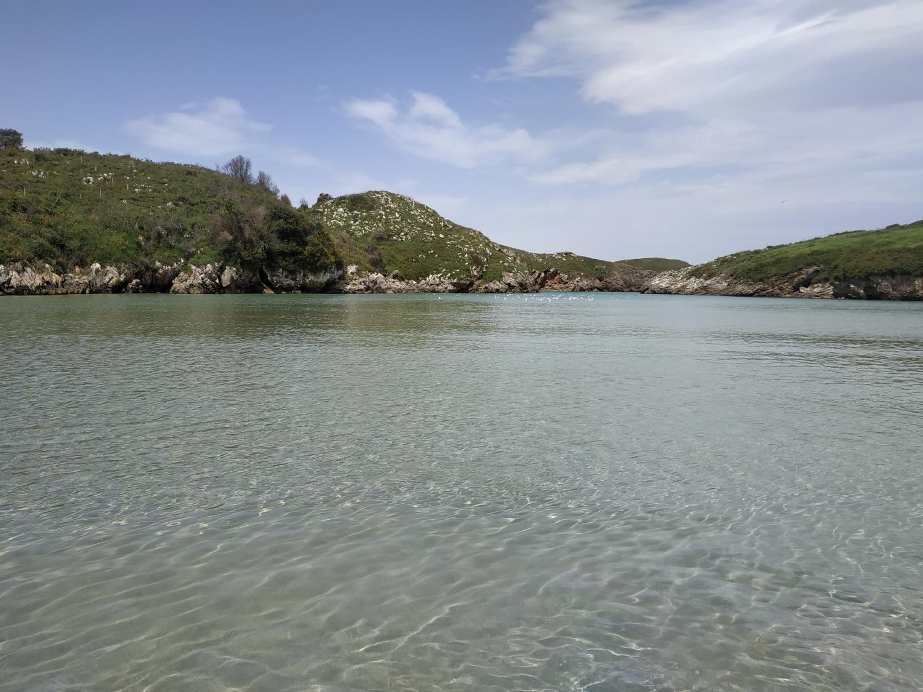 Photo 42