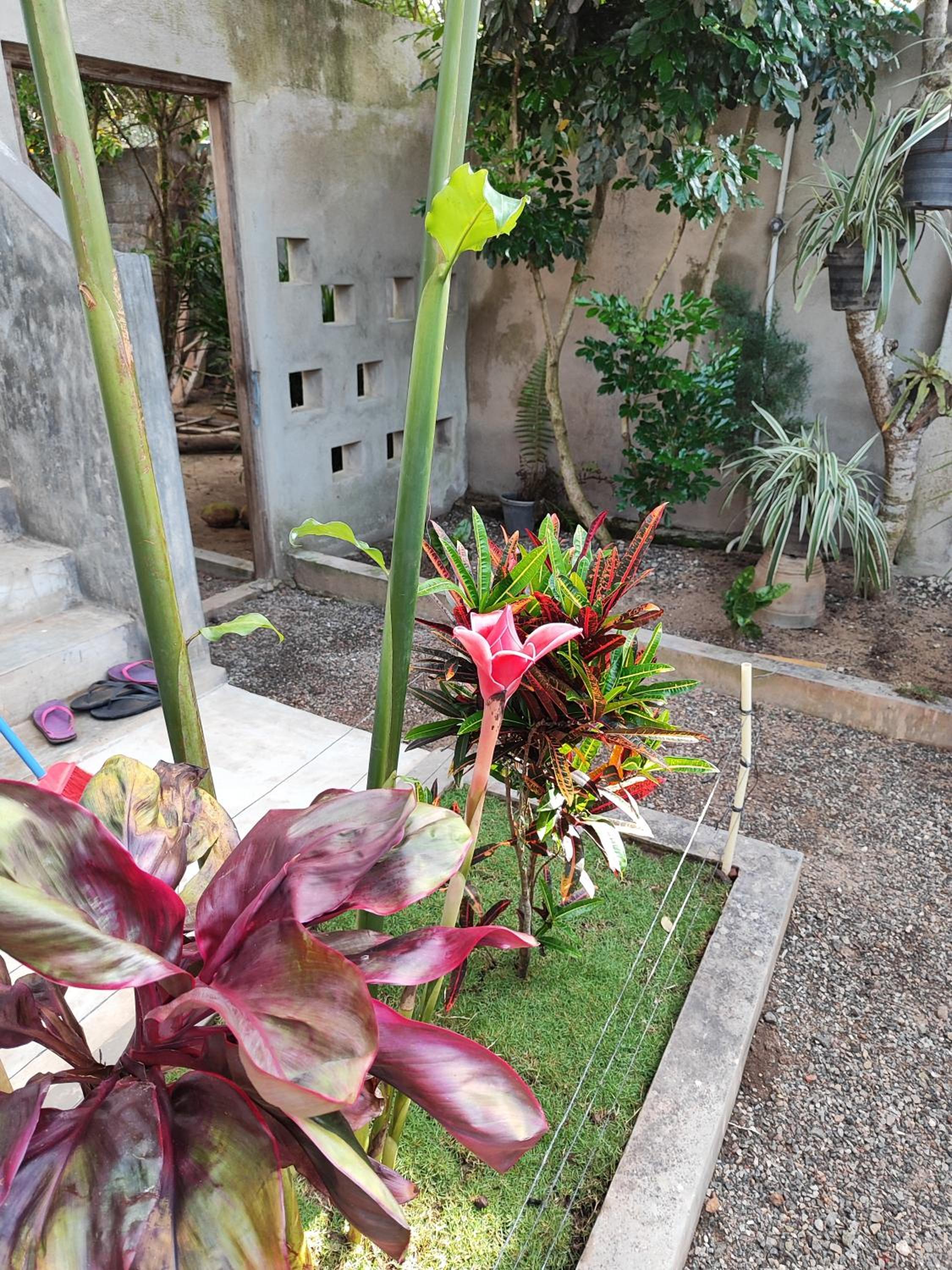 Tiger Villa view 4