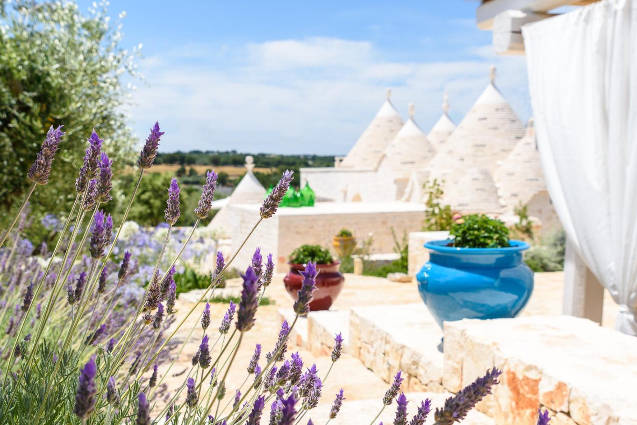 Trulli Santa Croce Luxury Holidays - piscina privata fino a 8 persone view 3