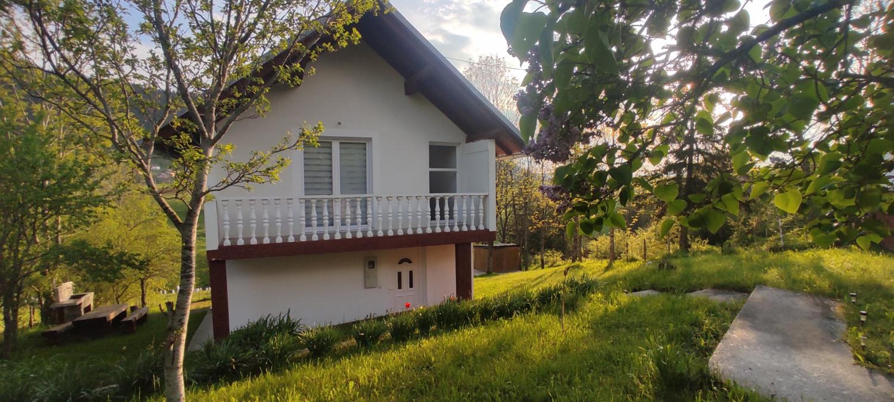 Vlasic holiday home