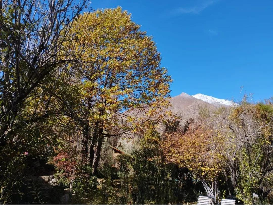 CASAS AMANCAY - Alcohuaz