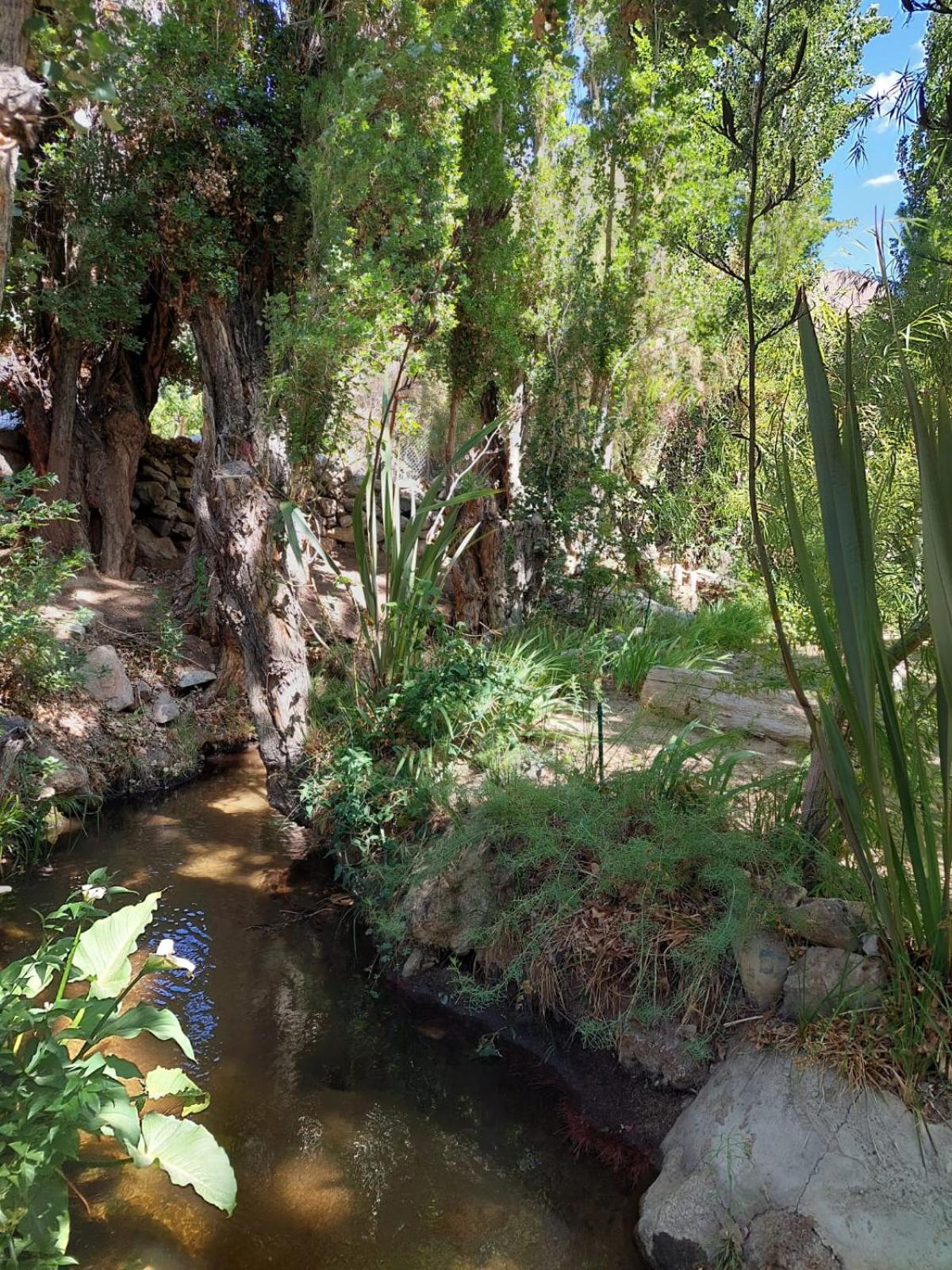 CASAS AMANCAY - Alcohuaz