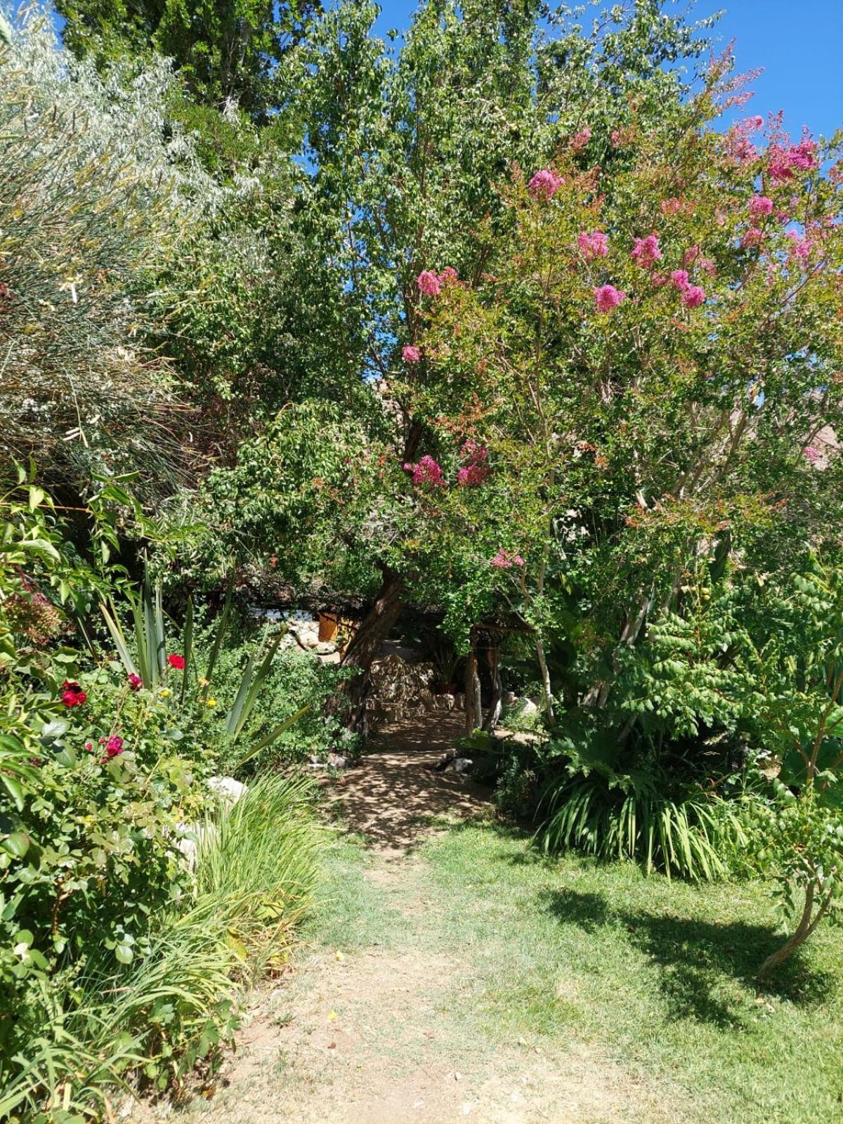 CASAS AMANCAY - Alcohuaz