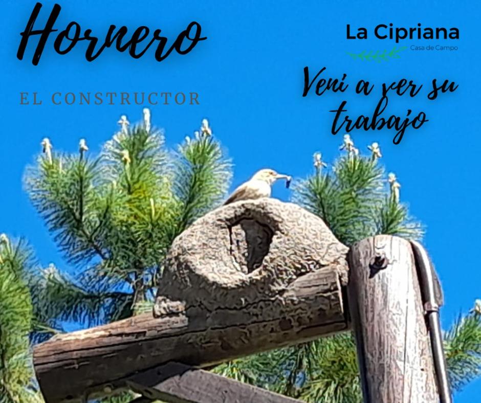 La Cipriana