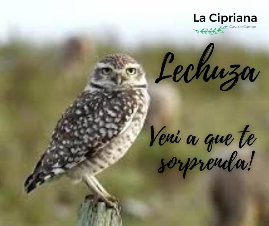 La Cipriana