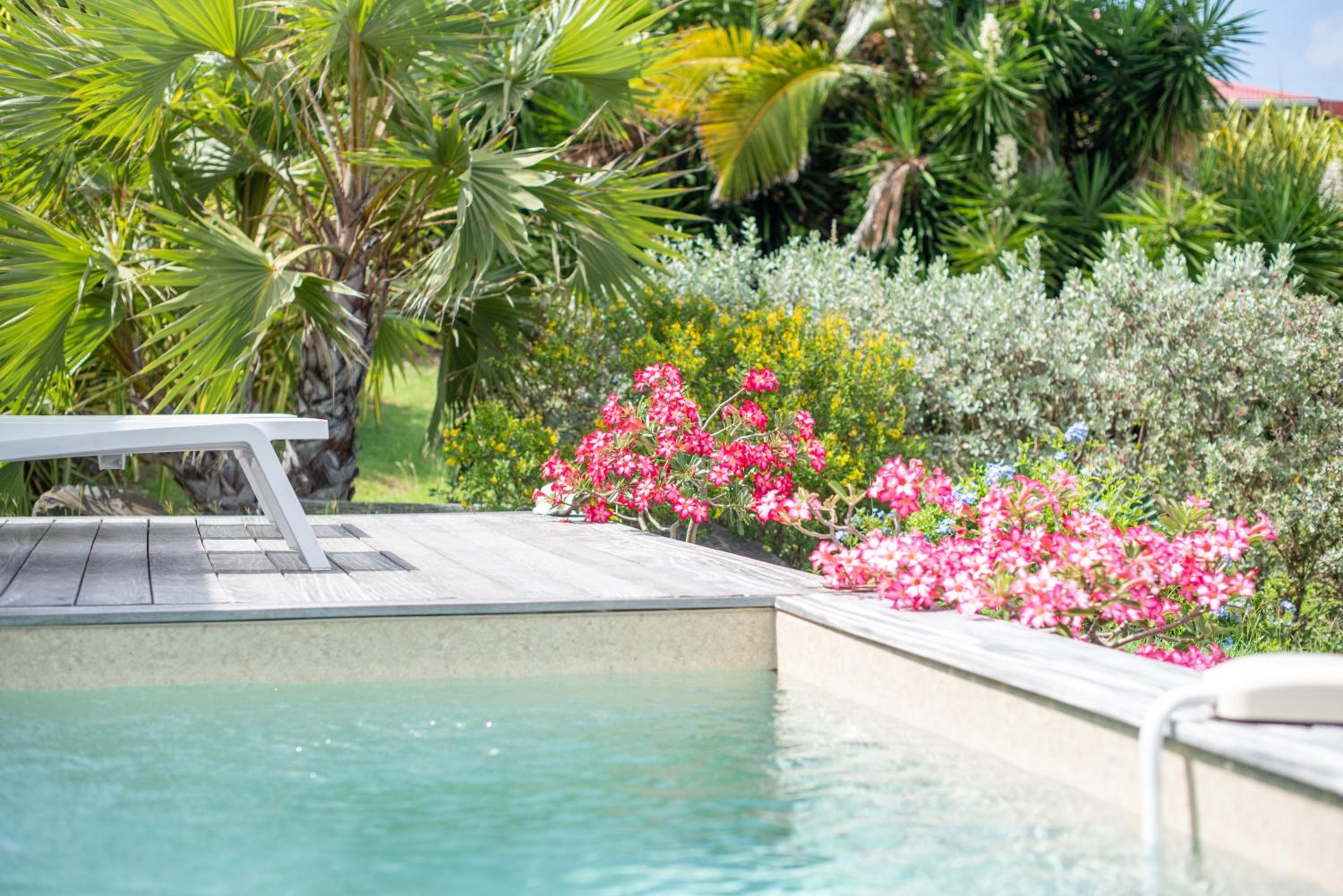 Domaine Bonheur Indigo view 4