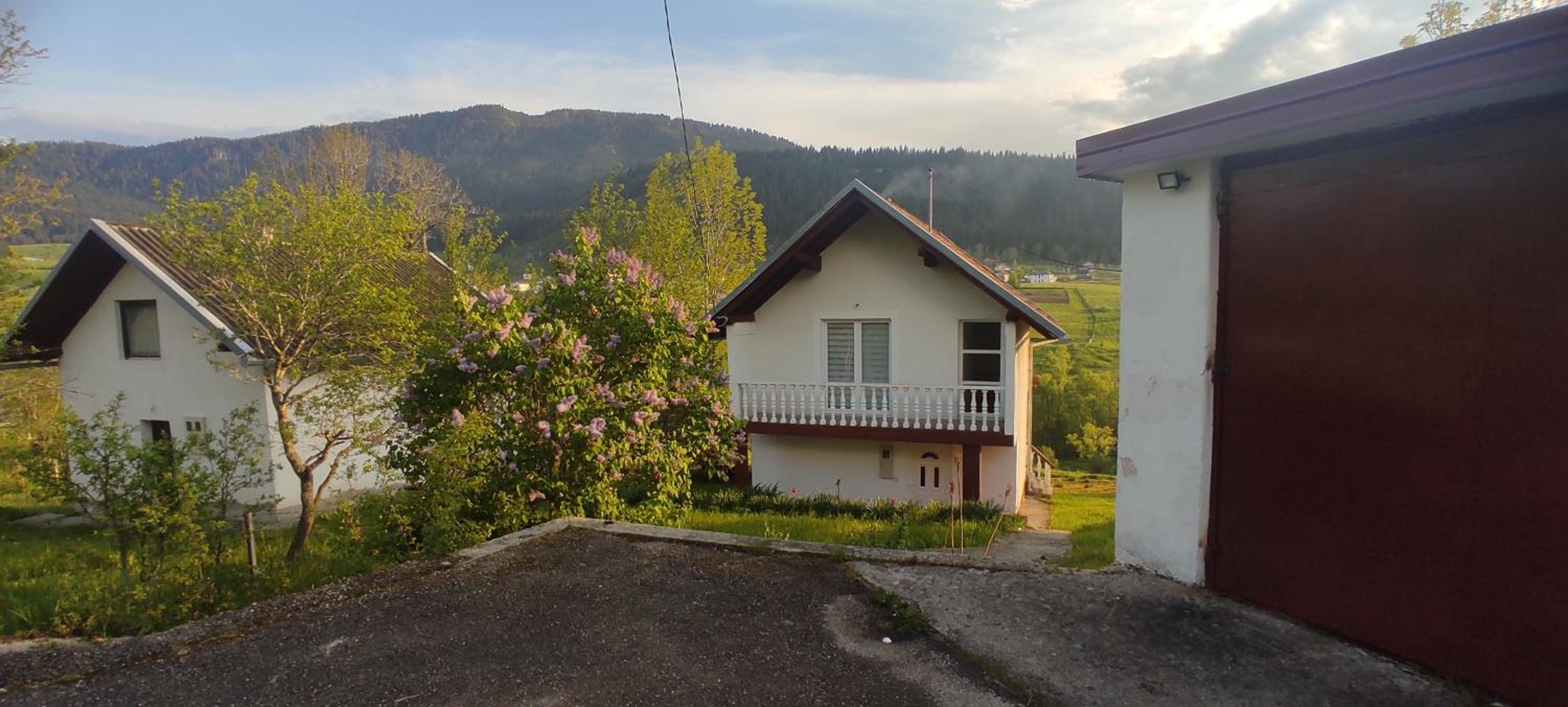 Vlasic holiday home