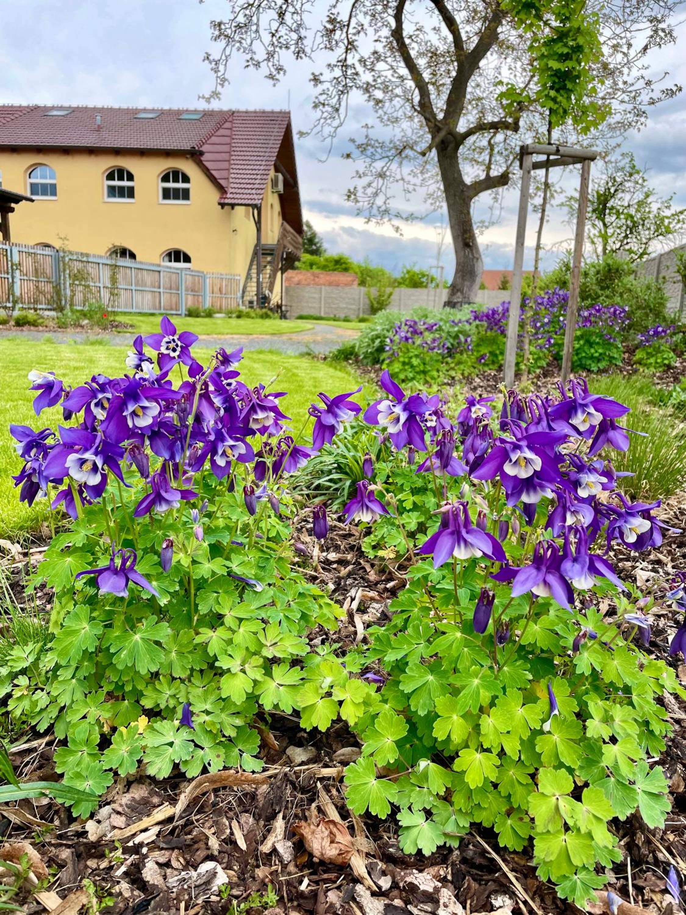 Penzion Apartmány Adamčík